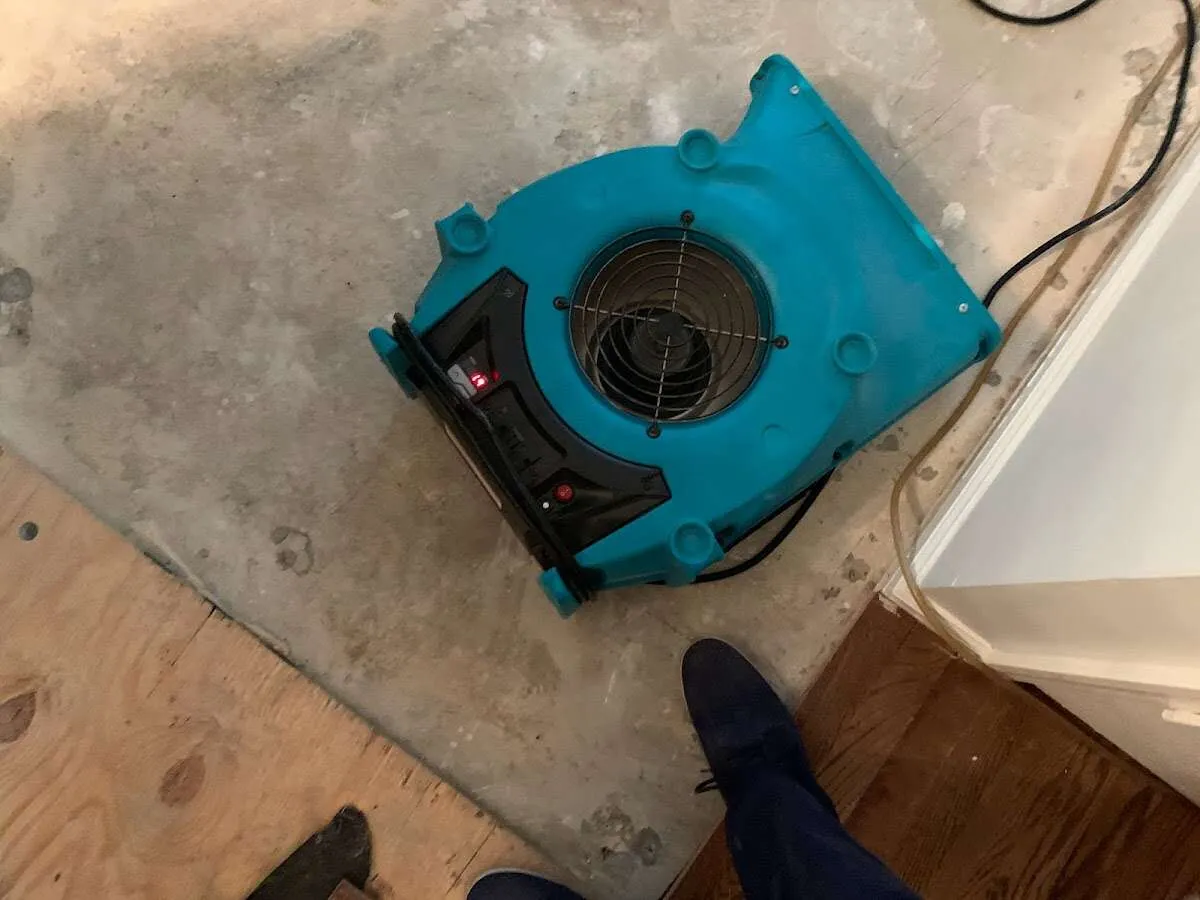 Air mover drying subfloor during Leak Detection & Repair in College Park